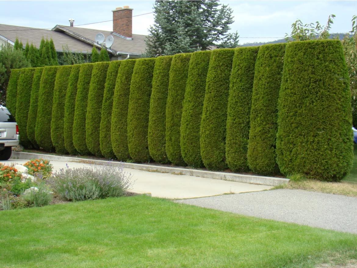 whatsapp image 2026 03 11 at 7.44.48 pm